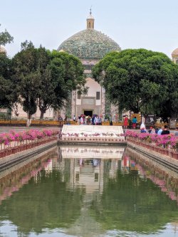 PXL_20240704_075106796.MP.jpg PXL_20240704_075106796.MP.jpg