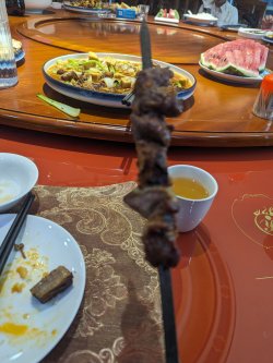 PXL_20240704_054013148.MP.jpg PXL_20240704_054013148.MP.jpg