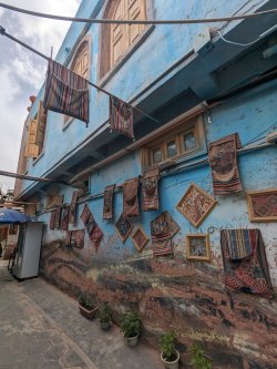 PXL_20240704_102701184.MP.jpg PXL_20240704_102701184.MP.jpg