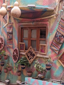 PXL_20240704_102006251.MP.jpg PXL_20240704_102006251.MP.jpg