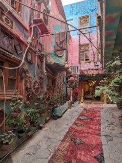 PXL_20240704_101939337.MP.jpg PXL_20240704_101939337.MP.jpg