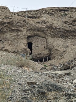 PXL_20240705_061840323.MP.jpg PXL_20240705_061840323.MP.jpg