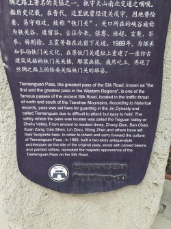 PXL_20240705_061755711.MP.jpg PXL_20240705_061755711.MP.jpg