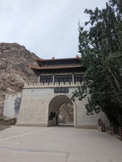 PXL_20240705_061650106.MP.jpg PXL_20240705_061650106.MP.jpg