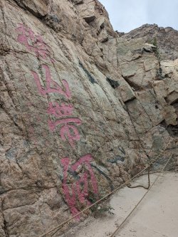 PXL_20240705_061555600.MP.jpg PXL_20240705_061555600.MP.jpg