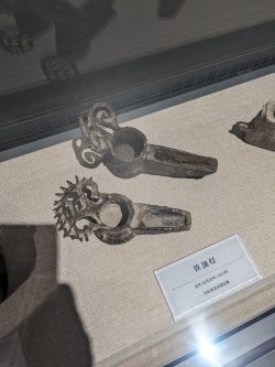 PXL_20240705_032443828.MP.jpg PXL_20240705_032443828.MP.jpg