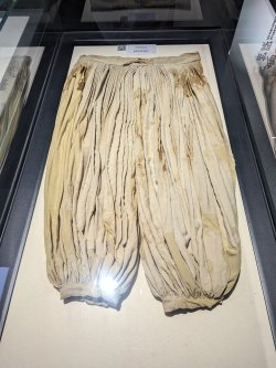 PXL_20240705_032029146.MP.jpg PXL_20240705_032029146.MP.jpg