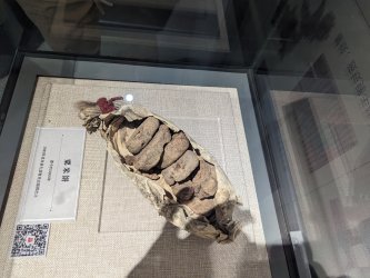 PXL_20240705_031503642.MP.jpg PXL_20240705_031503642.MP.jpg