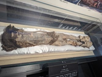 PXL_20240705_031231735.MP.jpg PXL_20240705_031231735.MP.jpg