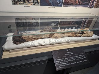 PXL_20240705_031220459.MP.jpg PXL_20240705_031220459.MP.jpg