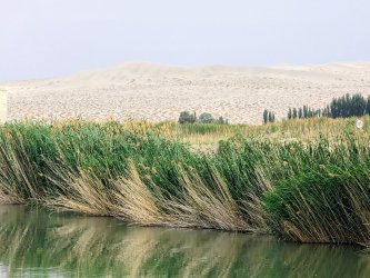 PXL_20240705_115117341.MP~2.jpg PXL_20240705_115117341.MP~2.jpg