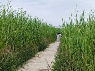 PXL_20240705_111419330.MP~2.jpg PXL_20240705_111419330.MP~2.jpg