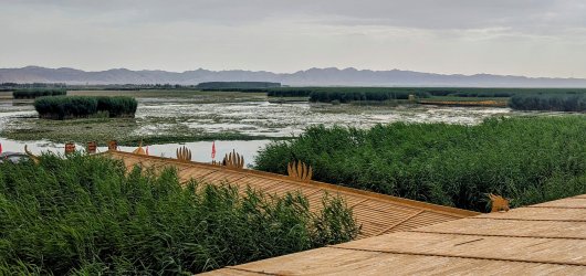 PXL_20240705_110759853.MP~2.jpg PXL_20240705_110759853.MP~2.jpg