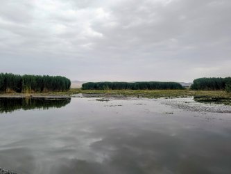 PXL_20240705_110002650.MP~2.jpg PXL_20240705_110002650.MP~2.jpg