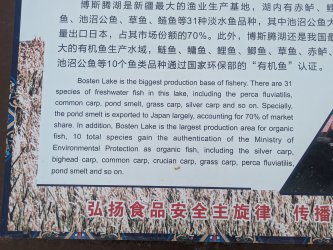 PXL_20240705_104320446.MP.jpg PXL_20240705_104320446.MP.jpg