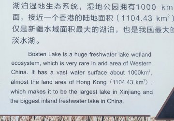 PXL_20240705_104111568.MP.jpg PXL_20240705_104111568.MP.jpg