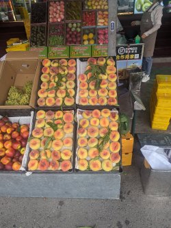 PXL_20240706_085522413.MP.jpg PXL_20240706_085522413.MP.jpg