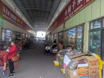 PXL_20240706_084953210.MP.jpg PXL_20240706_084953210.MP.jpg