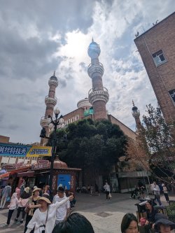 PXL_20240706_080014640.MP.jpg PXL_20240706_080014640.MP.jpg