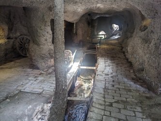 PXL_20240706_044556279.jpg PXL_20240706_044556279.jpg