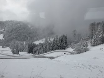 IMG_0587.jpeg IMG_0587.jpeg