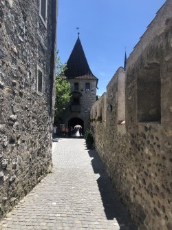 IMG_9172.jpeg IMG_9172.jpeg