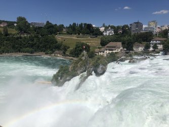 IMG_9162.jpeg IMG_9162.jpeg