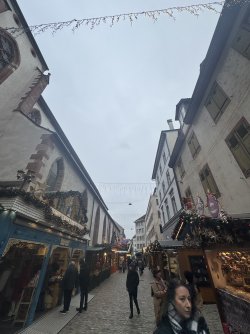 IMG_0638.jpeg IMG_0638.jpeg