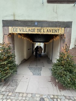 IMG_0611.jpeg IMG_0611.jpeg