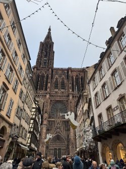 IMG_0618.jpeg IMG_0618.jpeg