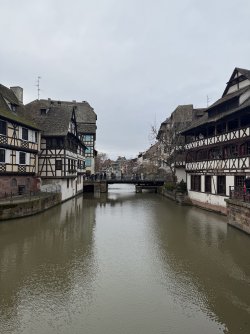 IMG_0609.jpeg IMG_0609.jpeg