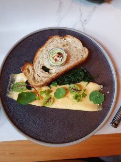 20241225_075905.jpg 20241225_075905.jpg