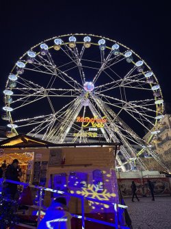 IMG_0652.jpeg IMG_0652.jpeg