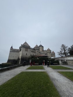 IMG_0689.jpeg IMG_0689.jpeg