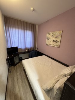 IMG_0703.jpeg IMG_0703.jpeg