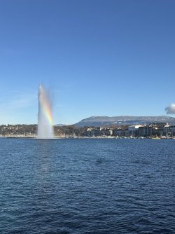 IMG_0712.jpeg IMG_0712.jpeg