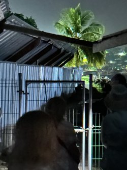 IMG_8024.JPG IMG_8024.JPG