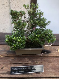 IMG_2166.jpeg IMG_2166.jpeg