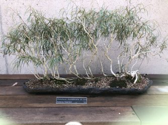 IMG_2167.jpeg IMG_2167.jpeg