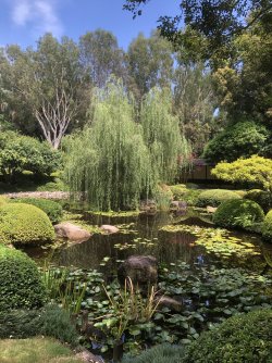 IMG_2170.jpeg IMG_2170.jpeg