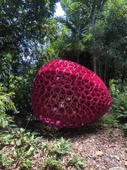 IMG_2171.jpeg IMG_2171.jpeg