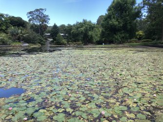 IMG_2175.jpeg IMG_2175.jpeg