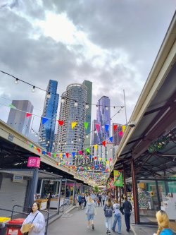 IMG_20241227_103008150_HDR_AE.jpg IMG_20241227_103008150_HDR_AE.jpg