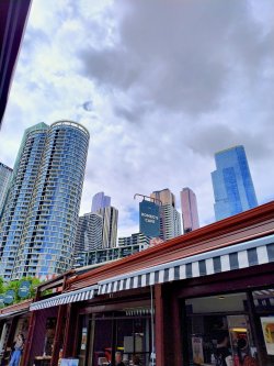 IMG_20241227_110814619_HDR_AE~2.jpg IMG_20241227_110814619_HDR_AE~2.jpg