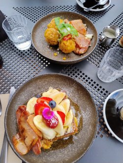 IMG_20241228_110110763_AE.jpg IMG_20241228_110110763_AE.jpg