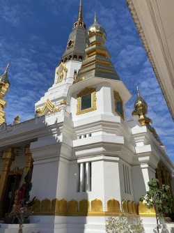 IMG_2105.jpeg IMG_2105.jpeg