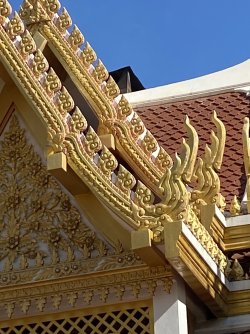 IMG_2135.jpeg IMG_2135.jpeg