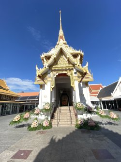 IMG_2137.jpeg IMG_2137.jpeg