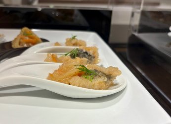 IMG_4933.jpeg IMG_4933.jpeg