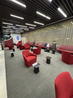 IMG_0718.jpeg IMG_0718.jpeg